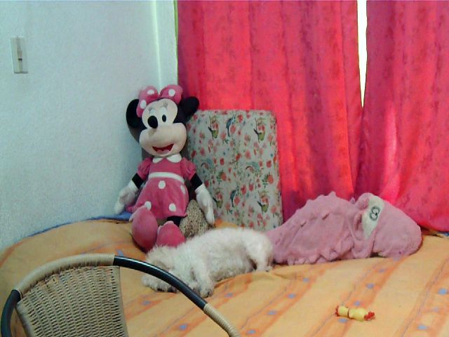 Live sex webcam photo for Coral_77 #270978265