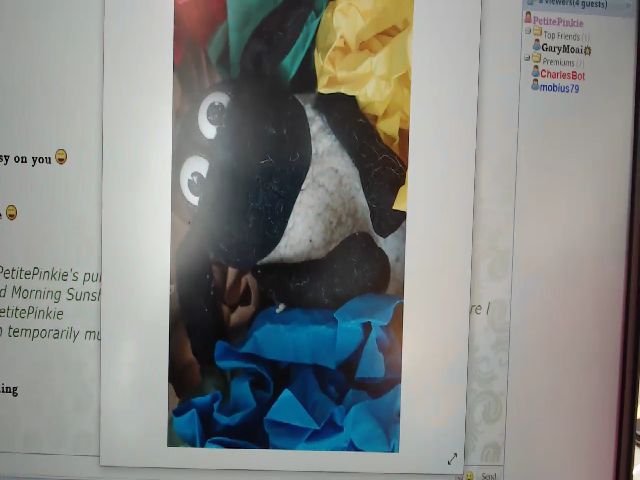 Live sex webcam photo for PetitePinkie #270994299