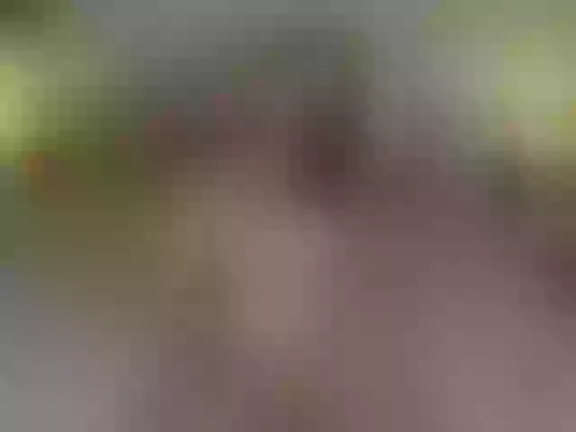 Live sex webcam photo for LisaAlissaa #271005750