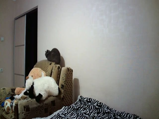 Live sex webcam photo for Cute_Fire #271014673