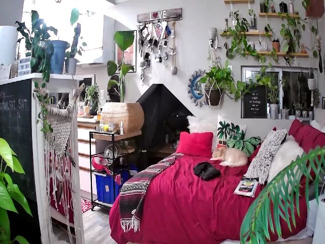 Live sex webcam photo for Sexylexi211 #271003480