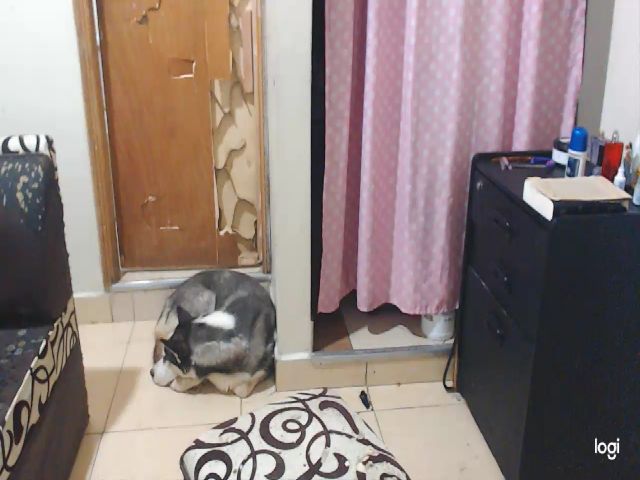 Live sex webcam photo for Cata88latina #271003612