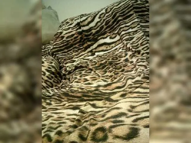 Live sex webcam photo for Luiziana111 #271024847