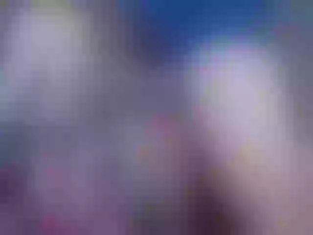 Live sex webcam photo for Sexykittihome #271033793