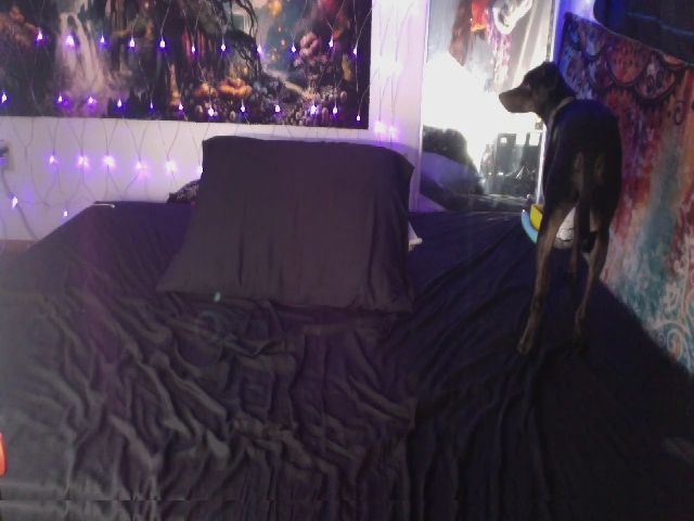 Live sex webcam photo for Honestkitty #271041922