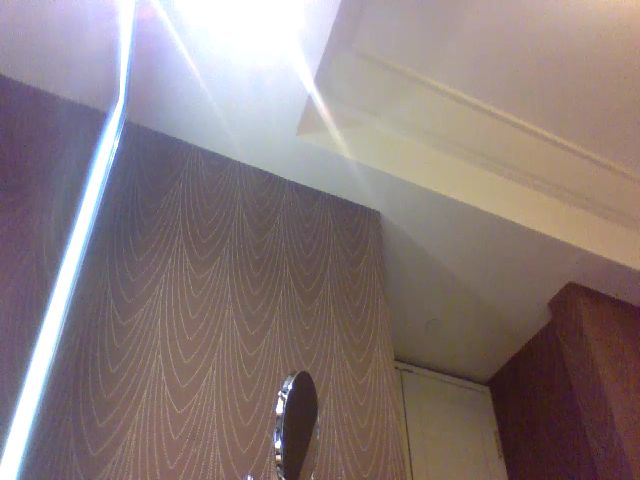 Live sex webcam photo for Bigbootibambi #271032259