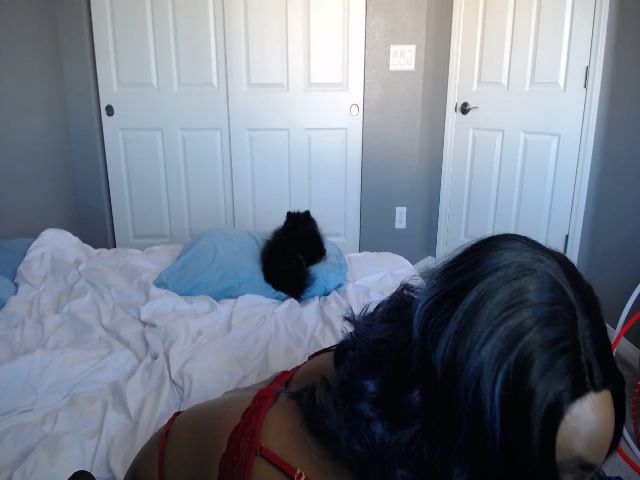 Live sex webcam photo for Queen_Kora #271053552