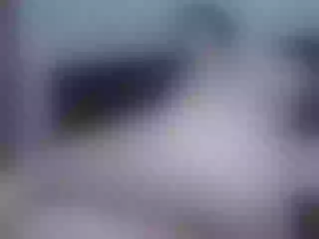 Live sex webcam photo for MeganHills #271059967