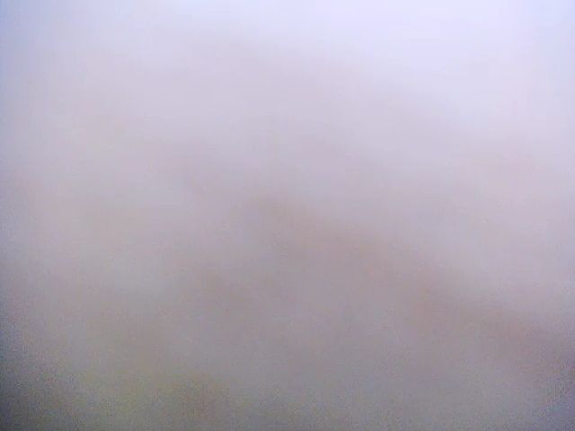 Live sex webcam photo for Viktoria_Vi #271075535