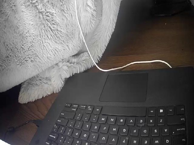 Live sex webcam photo for Laural55 #271062086
