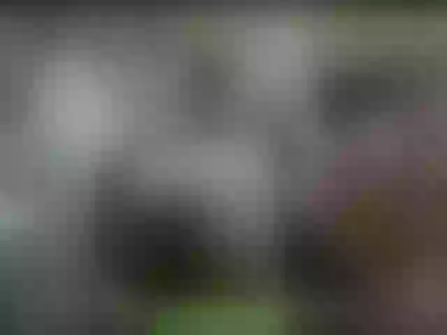Live sex webcam photo for alisablond #271085657