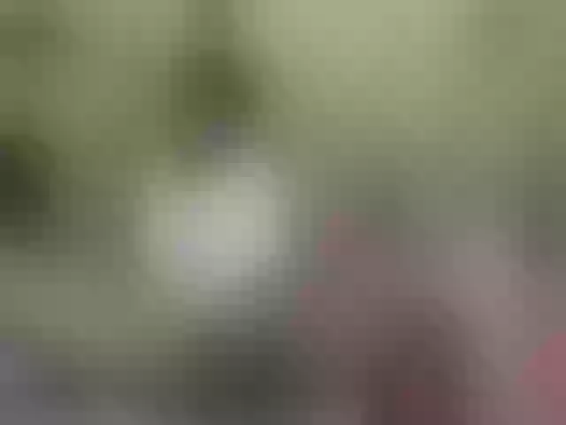 Live sex webcam photo for ebonycristal #271082667