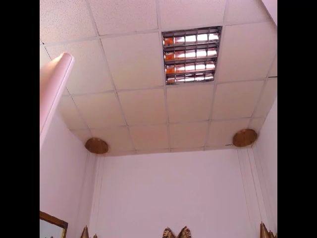 Live sex webcam photo for LadyRoberta4u #271093776