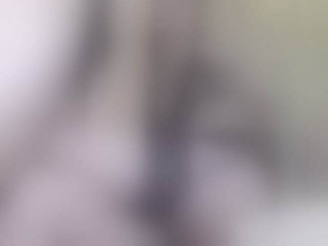 Live sex webcam photo for anto-leo #271085760