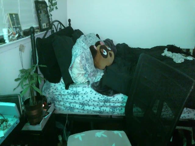 Live sex webcam photo for hazy666 #271079688