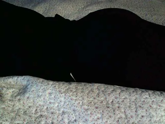 Live sex webcam photo for liZAAAZ #271108087