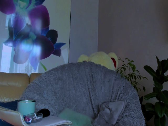 Live sex webcam photo for Amelya_ #271101156