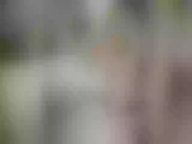 Live sex webcam photo for -Angell- #271099745