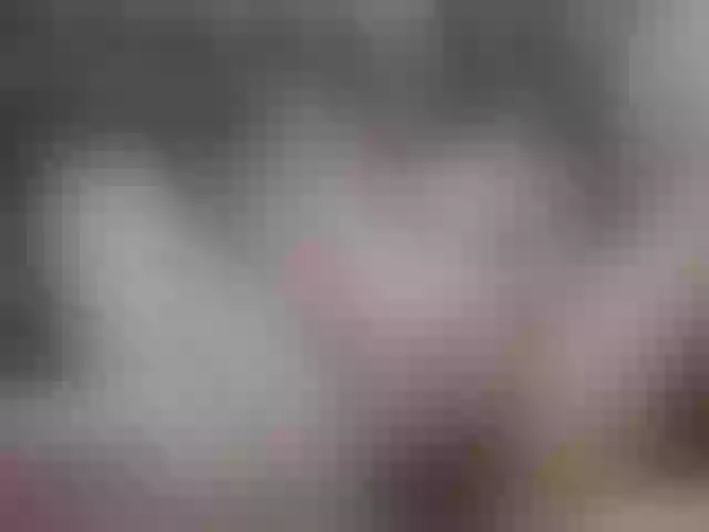 Live sex webcam photo for Madan-laren #271108463