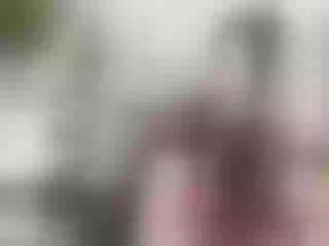 Live sex webcam photo for Sex-With-Me #271111868