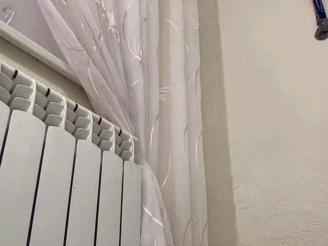 Live sex webcam photo for chrisskiss #271122958