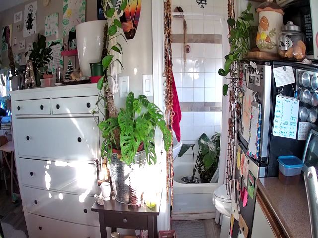 Live sex webcam photo for Sexylexi211 #271138112