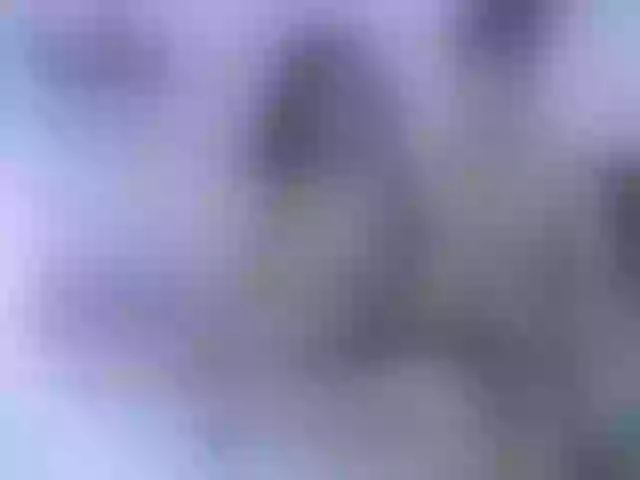 Live sex webcam photo for ciara-dominic #271125985