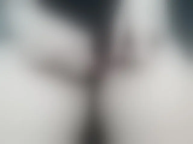 Live sex webcam photo for Harleymegan #271131943