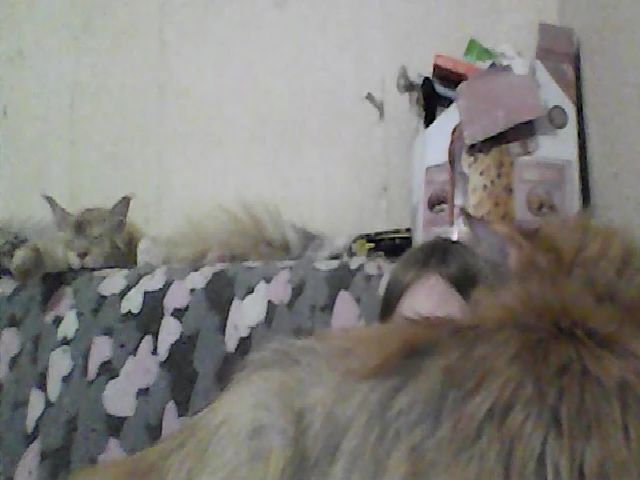 Live sex webcam photo for GuiltyKitty #271154513