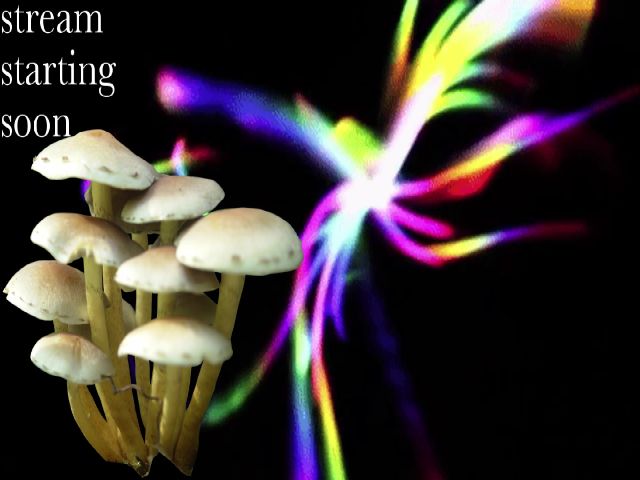 Live sex webcam photo for miatv #271146647