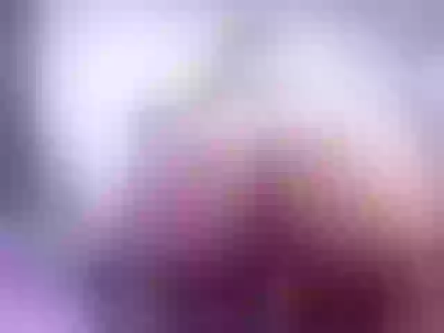 Live sex webcam photo for Sofhia20 #271149331