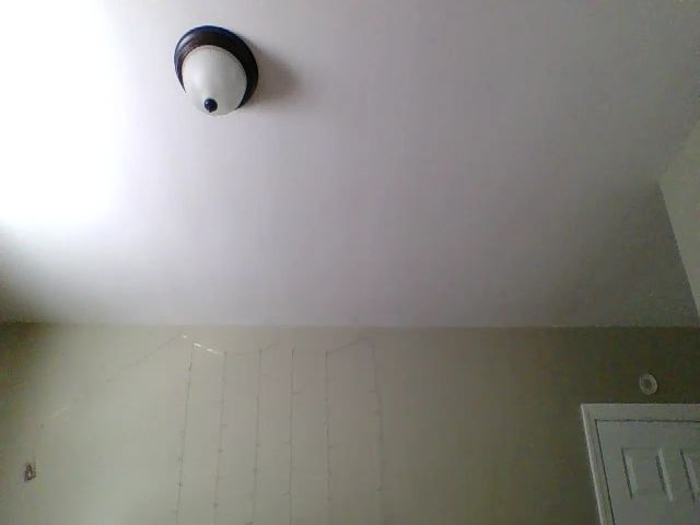 Live sex webcam photo for Adrianaxo1 #271151088