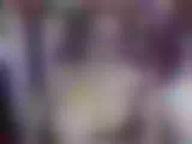 Live sex webcam photo for Sofilulu #271162770