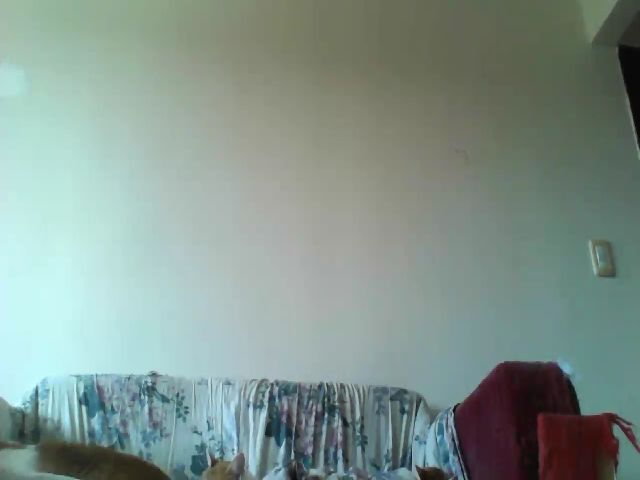 Live sex webcam photo for JesicaHilton #271173492
