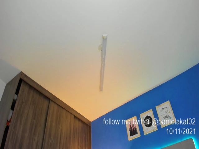 Live sex webcam photo for Pamela_Kat #271173719