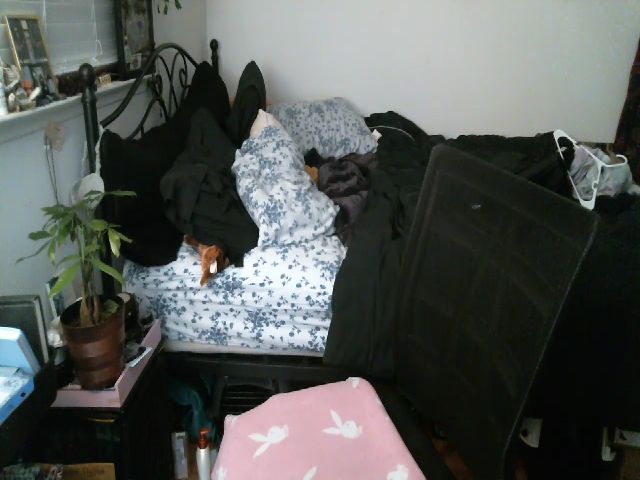 Live sex webcam photo for hazy666 #271161380