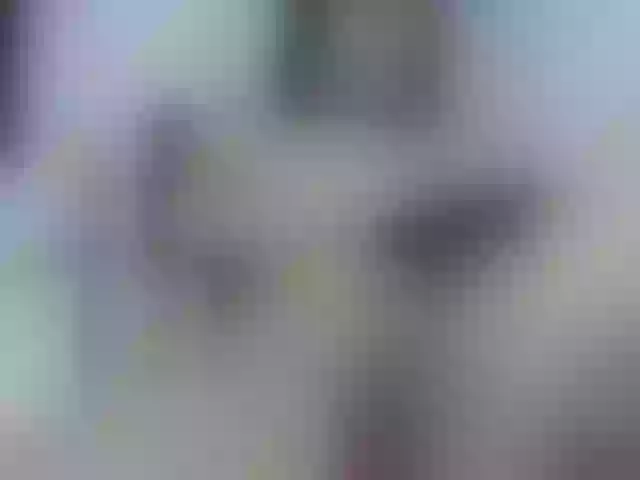Live sex webcam photo for thamaral1 #288018225