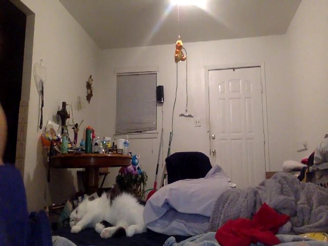 Live sex webcam photo for Marii_Angel #271164400