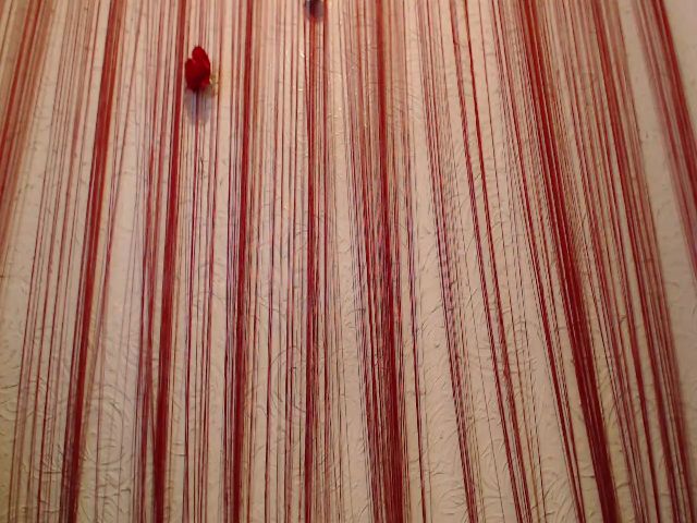 Live sex webcam photo for HOT_ALIAN #271168622