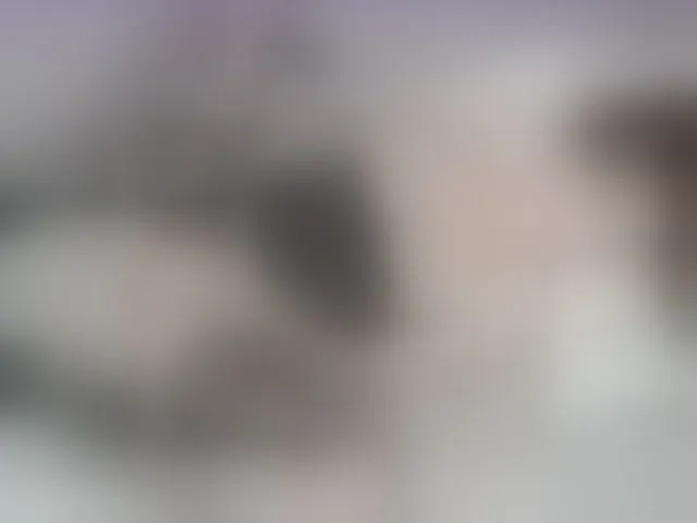 Live sex webcam photo for Anymaisa #271180324