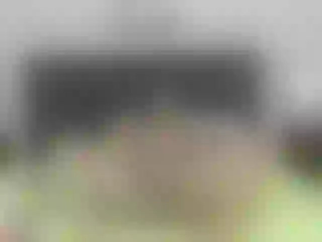 Live sex webcam photo for shariksweet #271184118