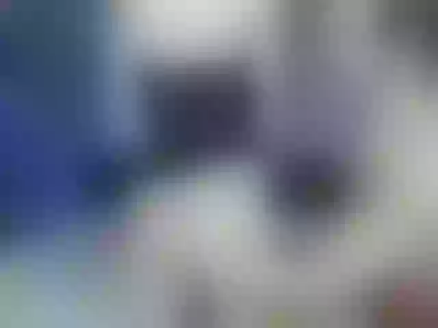 Live sex webcam photo for timon1201 #271187686