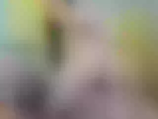 Live sex webcam photo for SsashaYadam #271180052