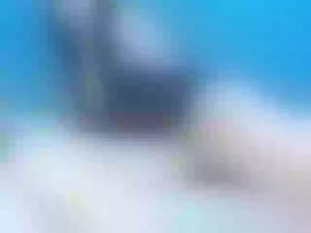 Live sex webcam photo for RebecaMitchel #271183968