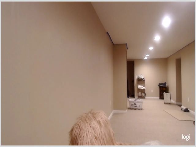 Live sex webcam photo for Angel_baby124 #271192418