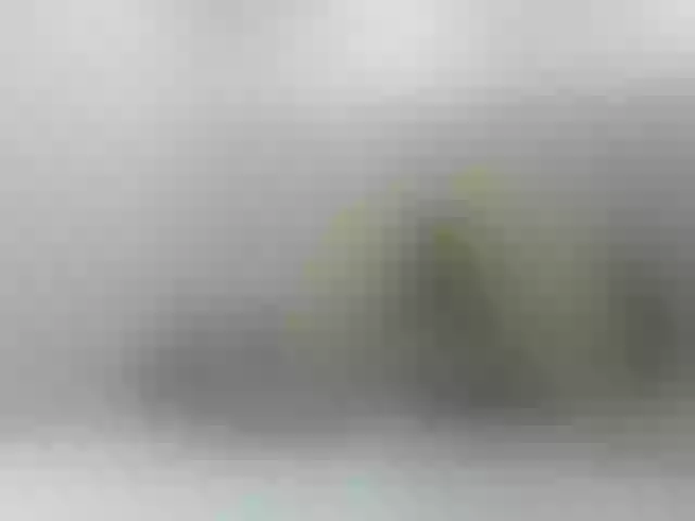 Live sex webcam photo for CarolineBars #271180237
