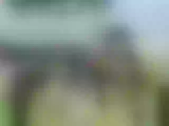 Live sex webcam photo for Chocolatgalak #271176404