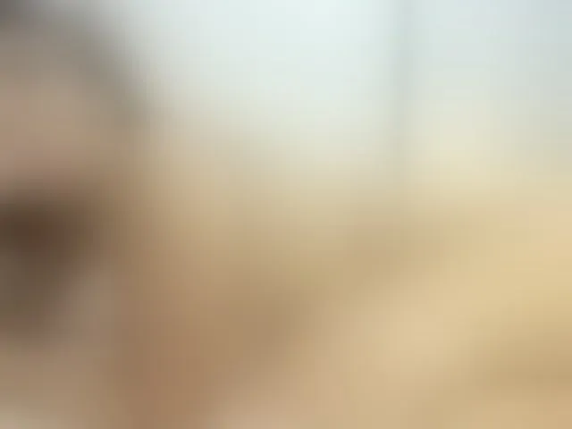 Live sex webcam photo for Merida- #271198505