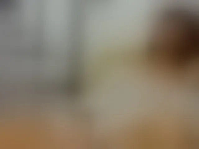 Live sex webcam photo for seductyvee #271198032