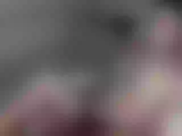 Live sex webcam photo for MonikaBelluci #271219031